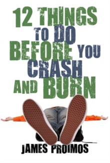 Image for 12 things to do before you crash and burn