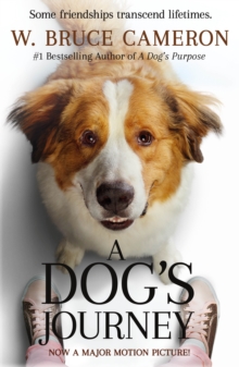 Image for Dog's Journey: A Novel