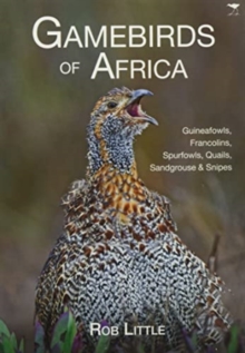 Gamebirds of Africa: Guineafowls, Francolins, Spurfowls, Quails, Sandgrouse & Snipes