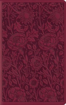 Image for ESV Large Print Compact Bible