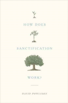 How Does Sanctification Work?