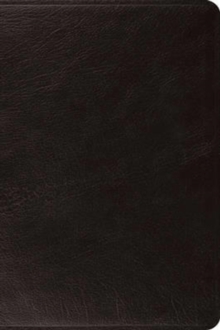 ESV Large Print Bible