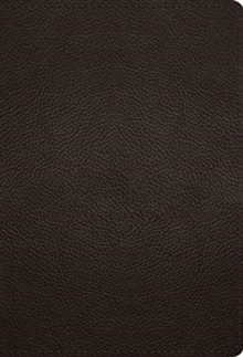 ESV Large Print Compact Bible