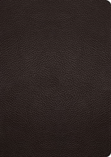 Image for ESV Study Bible