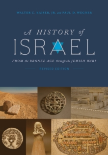Image for A history of Israel: from the bronze age through the Jewish Wars