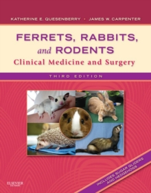 Image for Ferrets, Rabbits and Rodents: Clinical Medicine and Surgery