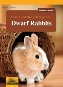 Image for Games and House Design for Dwarf Rabbits