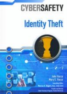 Image for Identity theft