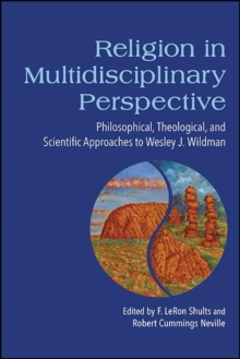 Image for Religion in Multidisciplinary Perspective: Philosophical, Theological, and Scientific Approaches to Wesley J. Wildman