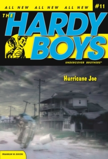 Image for Hurricane Joe