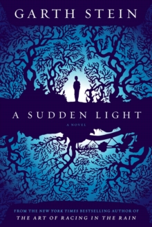 Image for A Sudden Light : A Novel