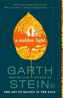Image for Sudden Light: A Novel