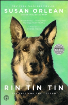 Image for Rin Tin Tin: The Life and the Legend