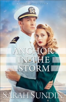 Image for Anchor in the storm: a novel