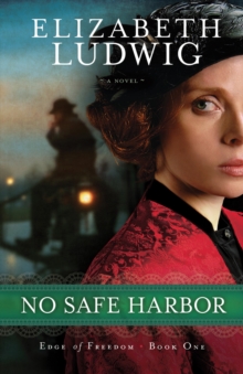 Image for No safe harbor: a novel