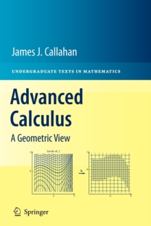 Image for Advanced calculus  : a geometric view