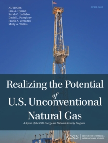 Image for Realizing the Potential of U.S. Unconventional Natural Gas
