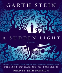 Image for A Sudden Light : A Novel