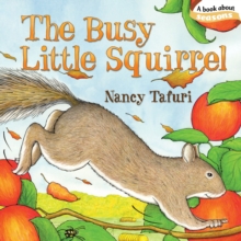 Image for The busy little squirrel