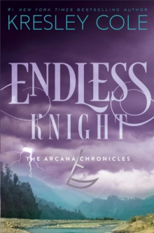 Image for Endless Knight