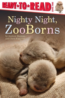 Image for Nighty Night, ZooBorns : Ready-to-Read Level 1