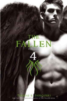 Image for The Fallen 4