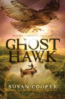 Image for Ghost Hawk