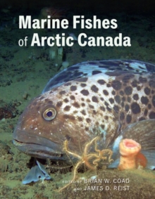 Image for Marine Fishes of Arctic Canada