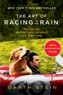 Image for The Art of Racing in the Rain Movie Tie-in Edition : A Novel