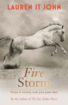 Image for The One Dollar Horse: Fire Storm