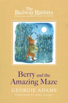 Image for Berry and the amazing maze