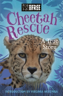 Image for Cheetah rescue  : a true story