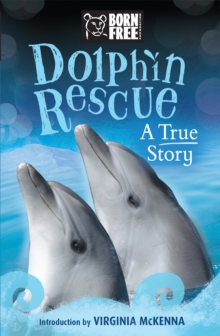 Image for Dolphin rescue  : the true story of Tom & Misha