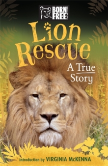Image for The true story of Bella & Simba  : lion rescue