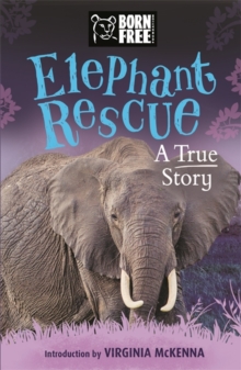 Image for The true story of Nina & Pinkie  : elephant rescue