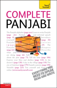 Image for Complete Punjabi Beginner to Intermediate Course