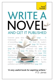 Image for Write a novel and get it published
