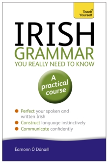 Image for Irish Grammar You Really Need to Know: Teach Yourself