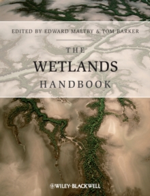 Image for The wetlands handbook