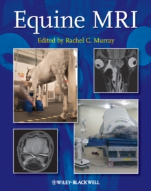 Image for Equine MRI