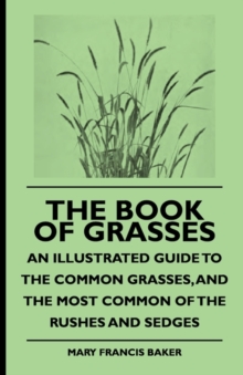 Image for The Book Of Grasses - An Illustrated Guide To The Common Grasses, And The Most Common Of The Rushes And Sedges