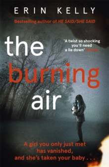 Image for The burning air