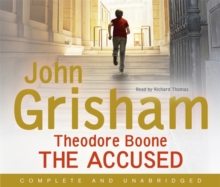 Image for Theodore Boone: The Accused