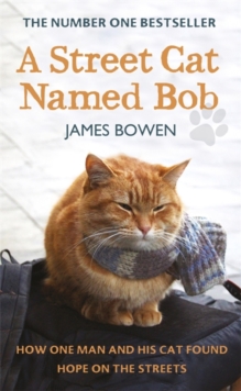 Image for A street cat named Bob