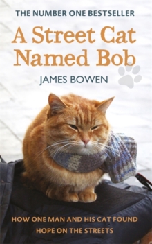 Image for A street cat named Bob  : how one man and his cat found hope on the streets