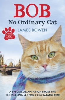 Image for Bob  : no ordinary cat
