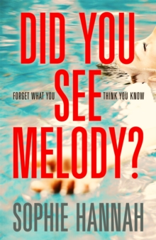 Image for Did You See Melody?