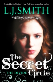Image for The Secret Circle: The Divide : Book 4