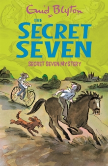 Image for Secret Seven mystery