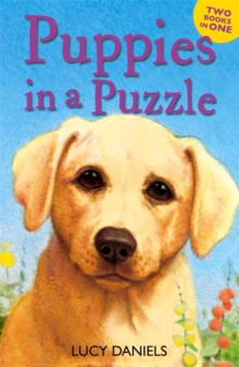 Image for Animal Ark: Puppies in a Puzzle